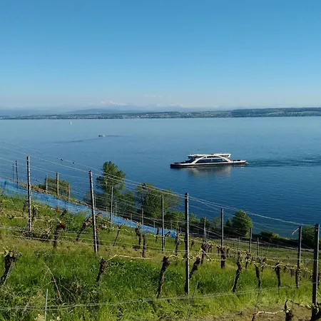 Seeblick By Interhome Apartmán Meersburg